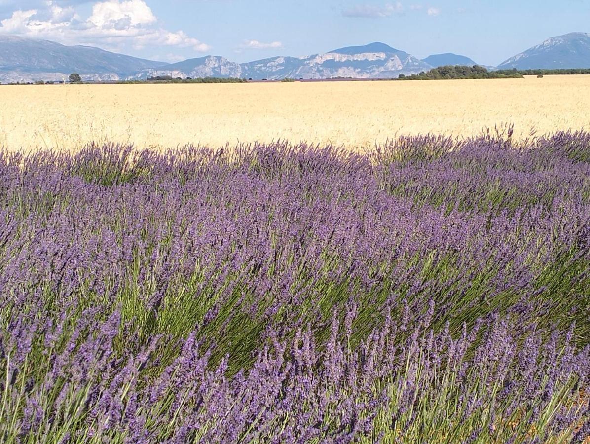 La Provence Vous Attend***!!! - 1Er Etage Digne-les-Bains Exteriör bild